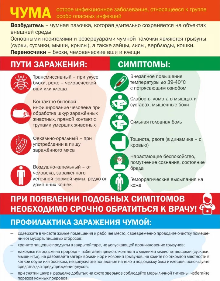 «Чума -острое инфекционное заболевание».